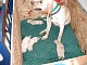 dscn5877.jpg
