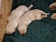 dscn5878.jpg