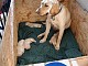 dscn5880.jpg