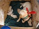 dscn5894.jpg