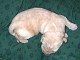 dscn5904.jpg