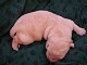 dscn5905.jpg
