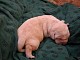 dscn5907.jpg