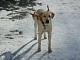 dscn5944.jpg