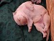 dscn5950.jpg