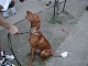 dscn1822.jpg