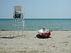 dscn2980.jpg