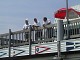 img_0362.jpg