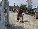 img_0392.jpg