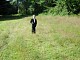 dscn9988.jpg