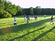 img_0559.jpg