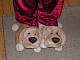 dscn0355.jpg