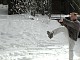 dscn6381.jpg