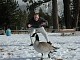 dscn6409.jpg